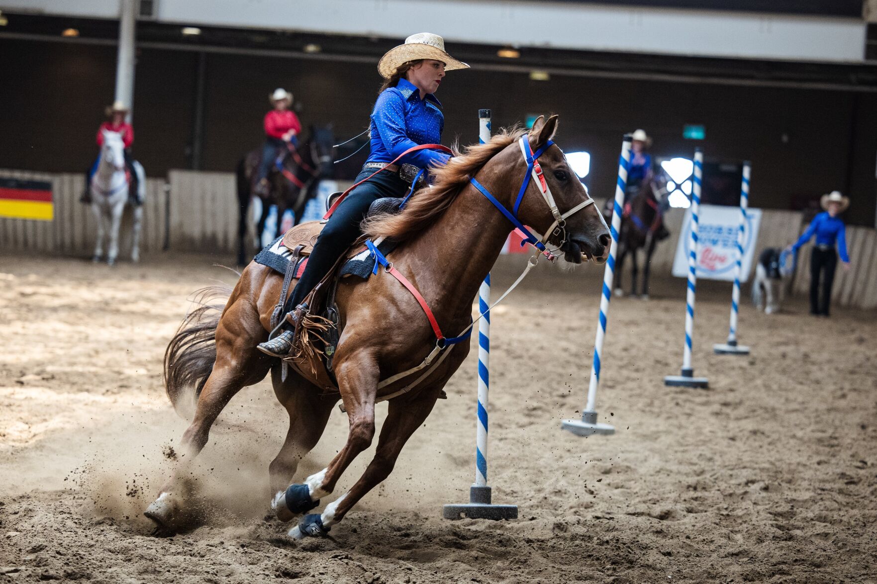 horses first up.JPG